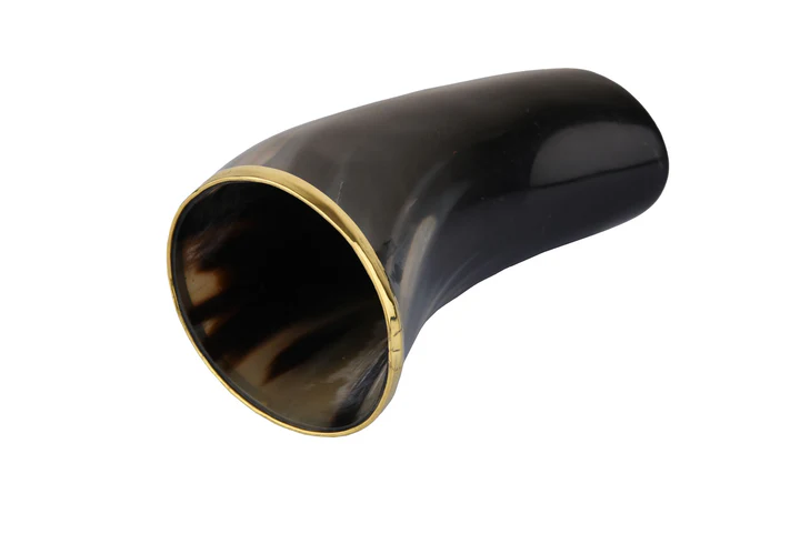 HORN-GLASS-BRASS-RIM-4_edited_720x