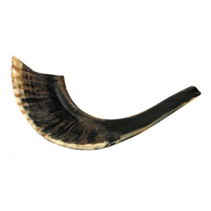 Black-Natural-Rams-Horn-Shofar-Medium-131485-20568-500x500_1-430x430