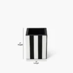 DSC09912-Copy-150x150