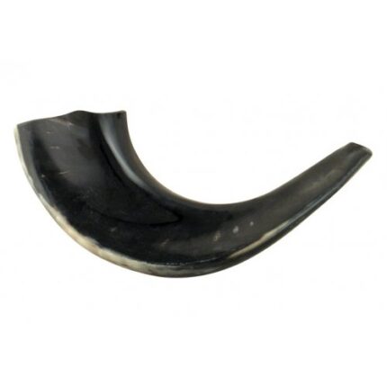 Small-Polished-Black-Rams-Horn-Shofar-111285-20460-500x500-1-430x430